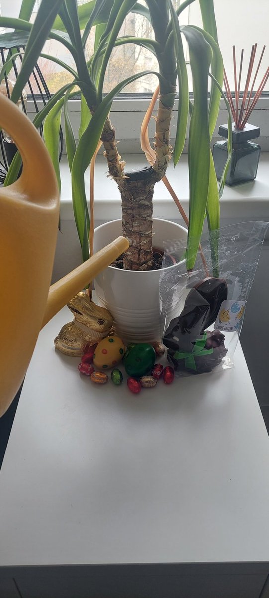 Gm 🐰

Today is a good day 
to water your plants 🪴