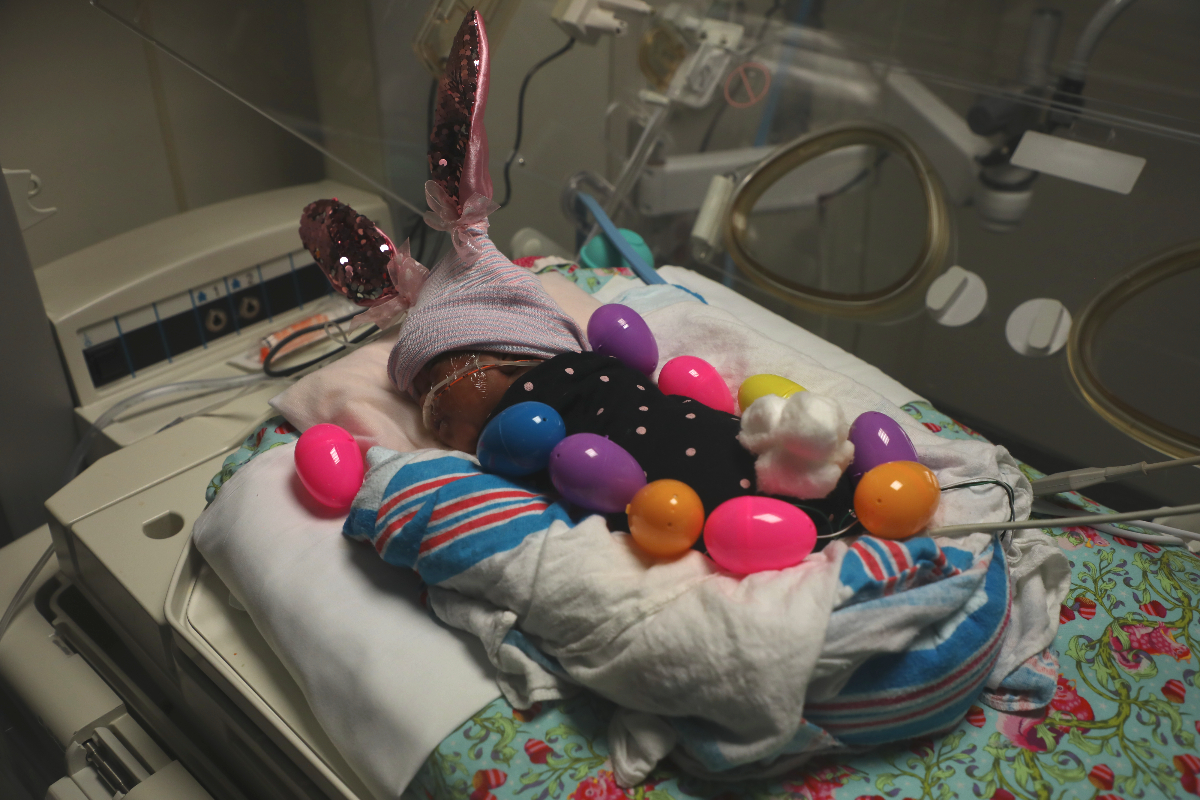 UNCHealthRex's tweet photo. Babies at the UNC Health Rex Women's Center NICU in Raleigh are dressed up for Easter today! These beautiful babies are sporting a pair of bunny ears and a tail. Take a look at these adorable faces!
Happy Easter! π°π£
#rex #rexrocks #rexbaby #rexbabies #easter2023 #easter https://t.co/kOWrKCtuNB