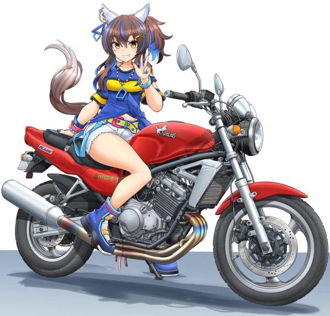 銀ホイール&amp;リアがモノサスのバリオス1型にもできますなんで時代に逆行してⅡではツインショックになったんですかね? 