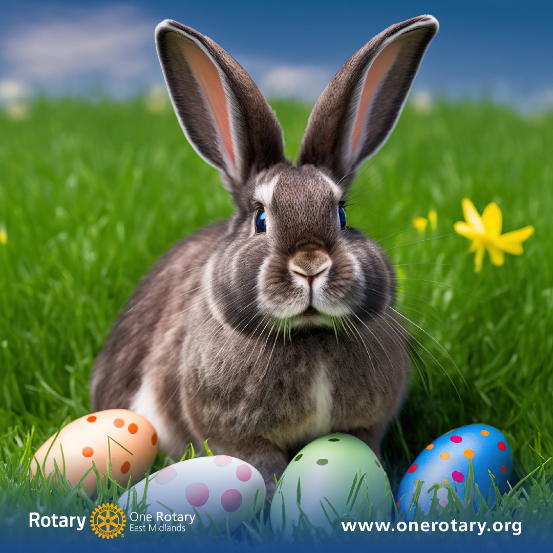 onerotaryemids's tweet photo. Wishing you a happy Easter from One Rotary East Midlands! π°π·π₯
May your day be filled with joy and happiness, surrounded by the beauty of nature.
Happy Easter from our family to yours! π£π°
#OneRotary #Rotary #Easter #OneRotaryEastMidlands #EasterBunny #Spring #FamilyTime https://t.co/jXE1EqEsQF