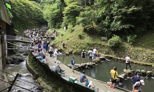 donkey2333's tweet photo. （初心者対象）親子マス釣り体験教室
　　　　　　　　　〔日本釣振興会〕

開催日時：2023年6月17日(土)
実施場所：大阪府千早川マス釣り場
募集人数：釣り初心者100名(申込受付順)

詳細・申込　⇒　https://t.co/nFYc07Us2r https://t.co/I5F713SkTh