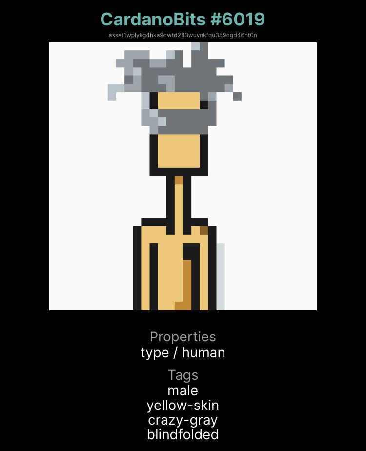 CbitArmy's tweet image. Happy 2 year anniversary @CardanoBits! To celebrate we are having 2 giveaways! Simply post YOUR #cbit, tag @CardanoBits &amp;amp; @CbitArmy with #2YearsOld! 5 entries max! One post equals one entry! Open until April 14 9am est! 2 prizes(shown below)2 draws! #nft #cnft #cardano