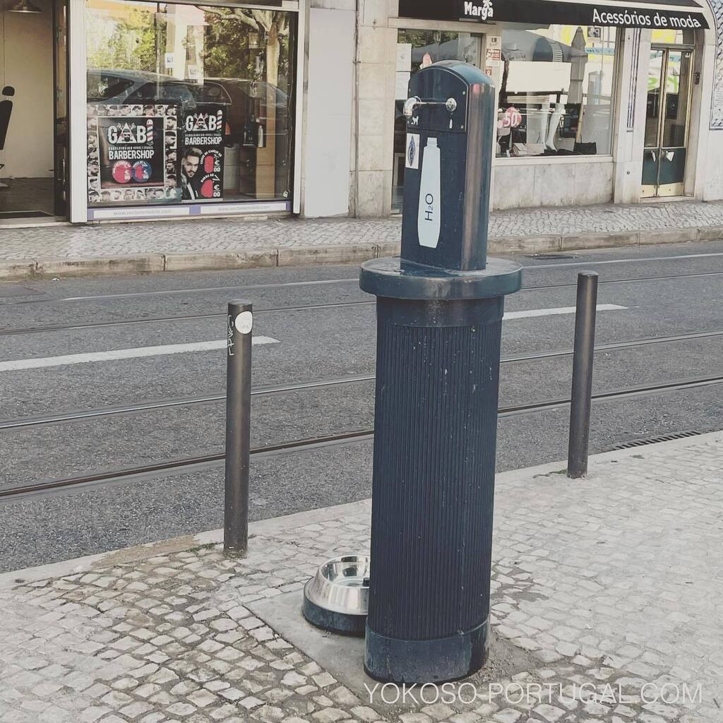 test ツイッターメディア - ポルトガルの水道水は飲むことができます。街にはこのような水道が設置してあり、犬用もあります。　#リスボン #ポルトガル https://t.co/YmpOFFb6mT