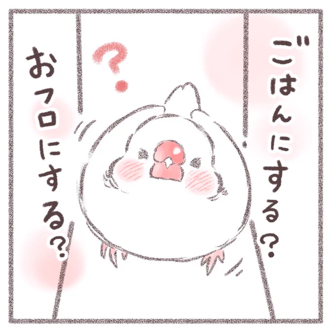 かいぬし、おかえりなさい!
ごはんにする?おふろにする?

それとも…🐥💕

#文鳥 #birds 