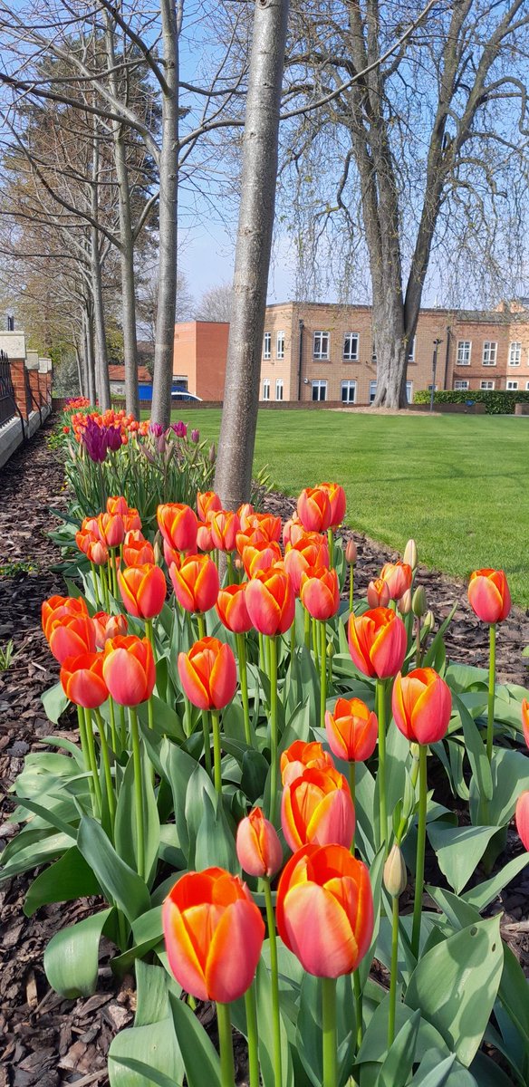 Nice day at the office ❤️ #sunshine #spring