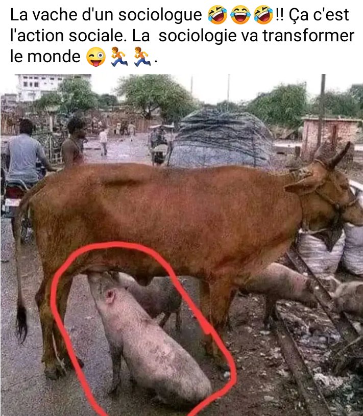 ApertyProd96's tweet photo. Respect Mes chers Sociologues💪💪😂😂 https://t.co/Ye9KjWLrFM