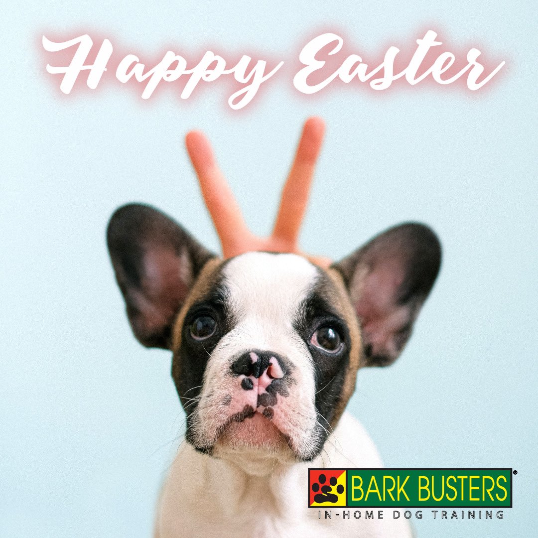 BarkBusters's tweet photo. https://t.co/AYsCfAcoTu