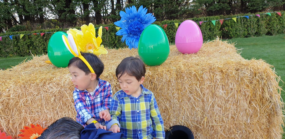 Vivian Maeda tweet media