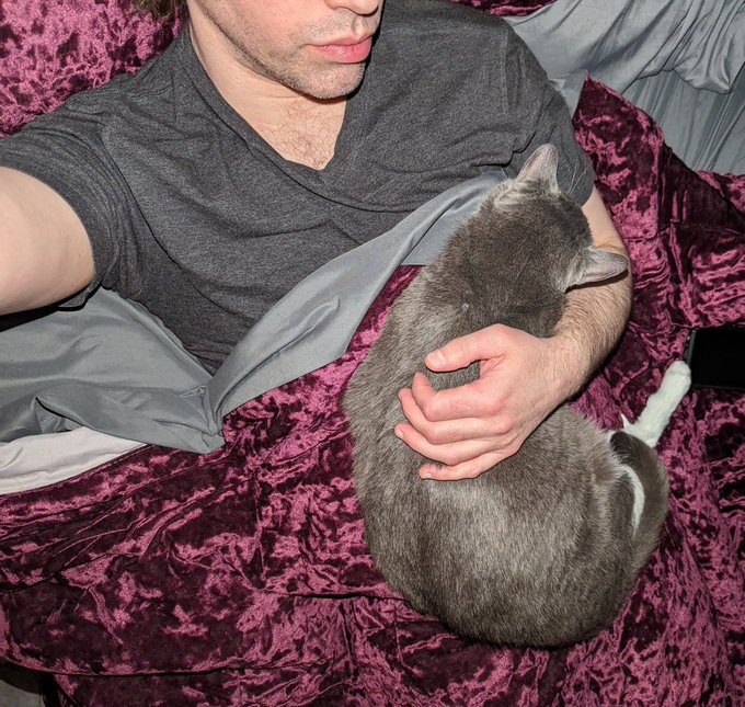 I needs to sleep, but Toby is so comfy ❤️ https://t.co/GLr0lh0C8R