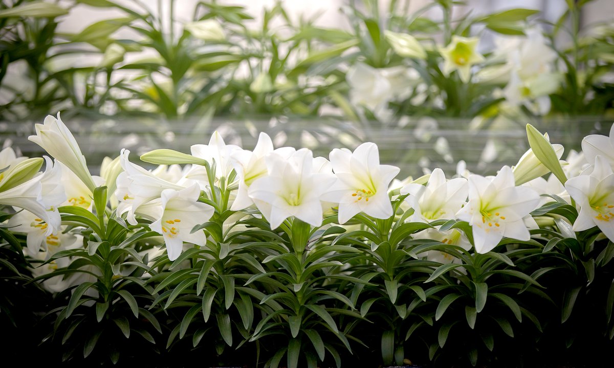 Mike Housholder tweet media