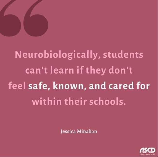gerrydiamond71's tweet photo. Learning can only happen in our most unique part of the human brain,the cortex. To make young people feel safe from battleground childhoods, it's a 3-part process to get to that top smart part. This will enhance positive outcomes for children from adversity, chaos &amp; trauma. 🧠🌱 https://t.co/Dtw9F1CdH6