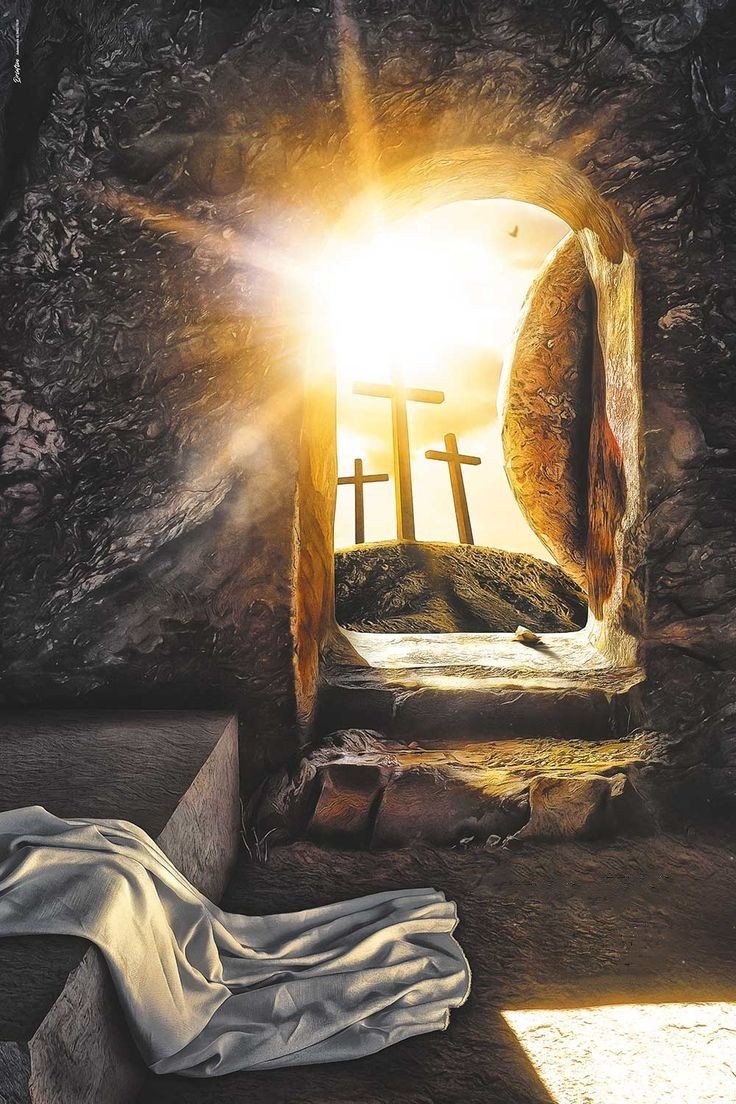 tizimp's tweet photo. Come i raggi del sole, a primavera, fanno spuntare e schiudere le gemme sui rami degli alberi, così l’irradiazione che promana dalla Risurrezione di Cristo dà forza e significato ad ogni speranza umana, ad ogni attesa, desiderio, progetto.

Papa Benedetto XVI https://t.co/tJBgX8SVRj