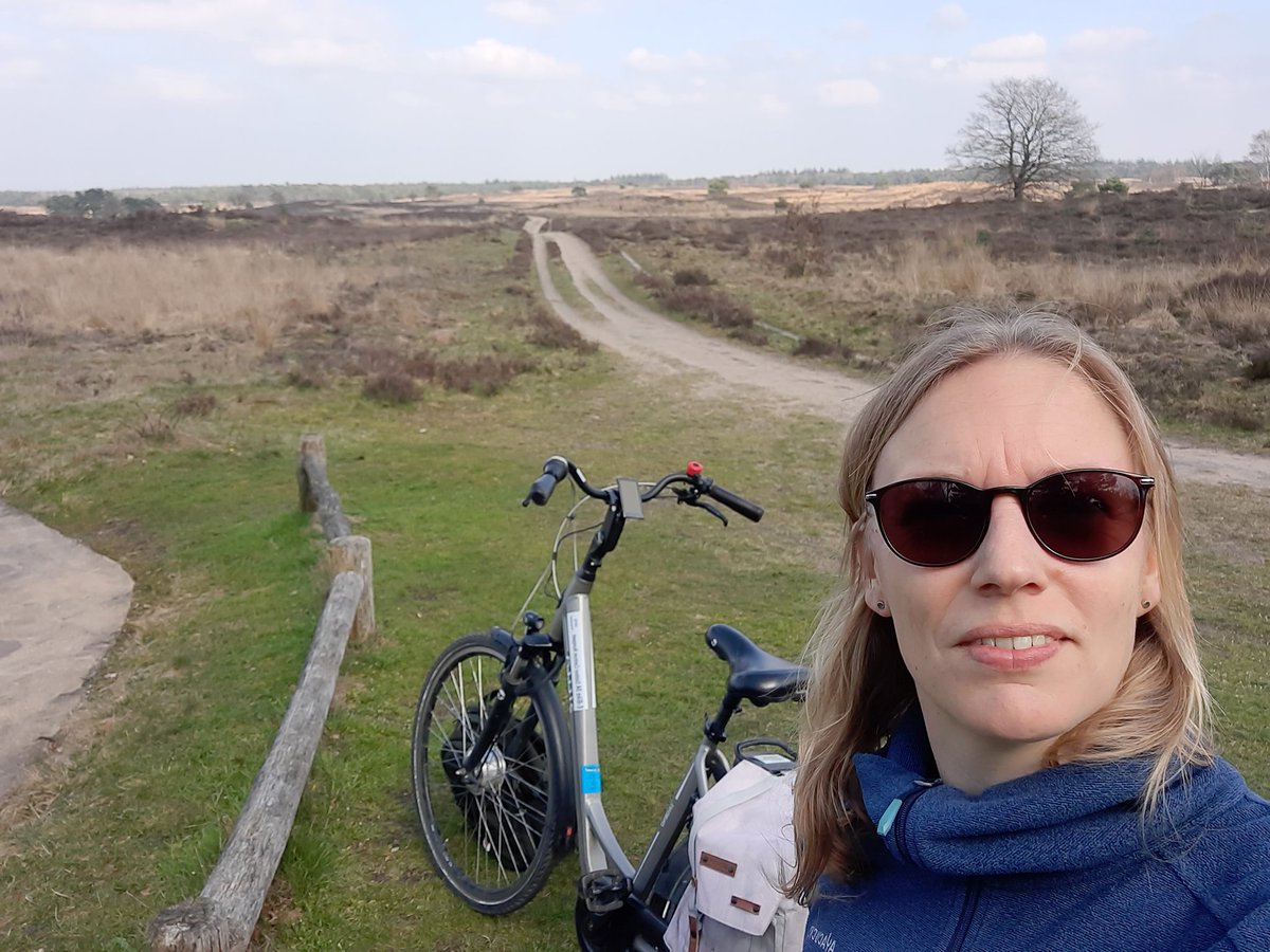 MadelonvS's tweet photo. Heerlijk dagje fietsen in en om Nunspeet! Veel citroenvlinders actief! Ik vermaak me prima <3 https://t.co/mpYuwzRJxH