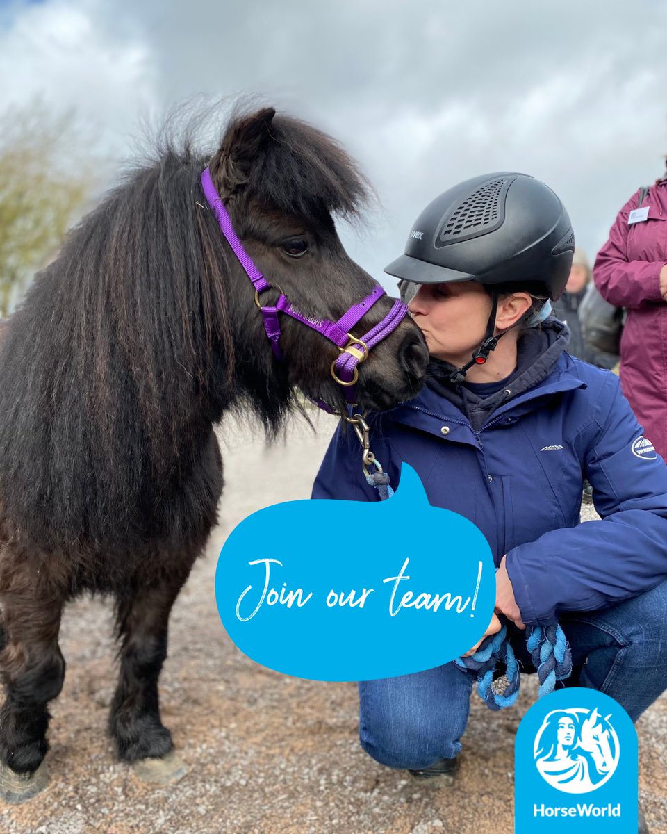📢Join our HorseWorld team, we're recruiting!
🌟Trust Fundraising Manager - applications close 23rd April
🌟Finance Officer - applications close 24th April

Click here to read more and apply 👉 bit.ly/HWVacancies

#BristolJobs #CharityJobs