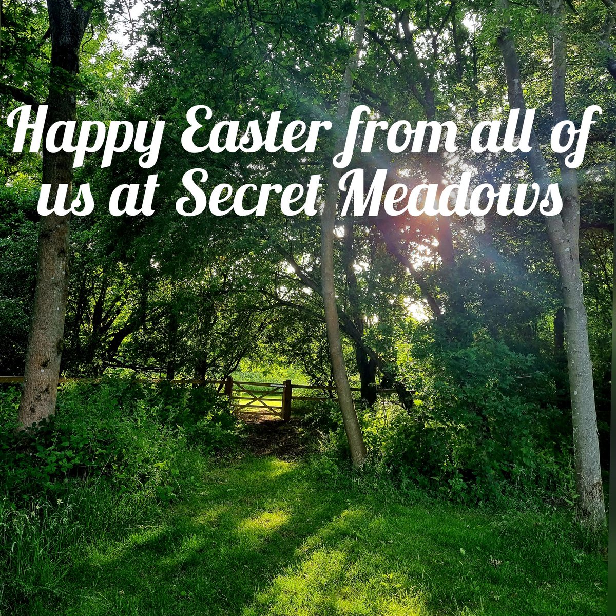 Secret Meadows tweet media