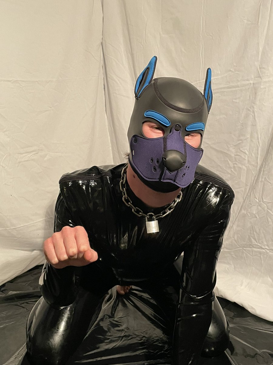 Pup Cheeky tweet media