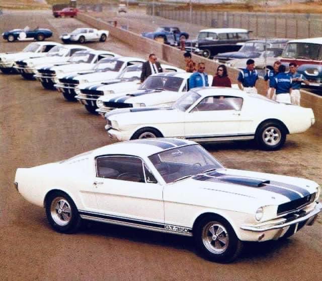 DinoKasamis's tweet photo. Cool Shelby picture from back in the day… https://t.co/i1gPYwoV7h