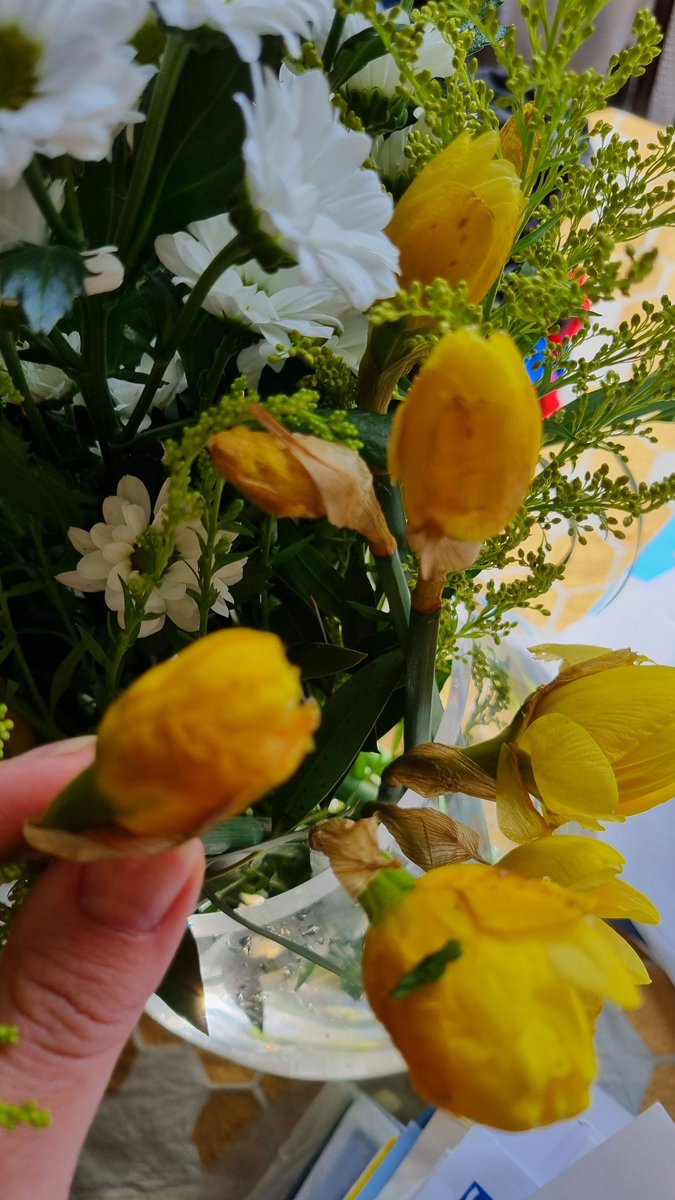 Kimberley Evans-Chudasama tweet media