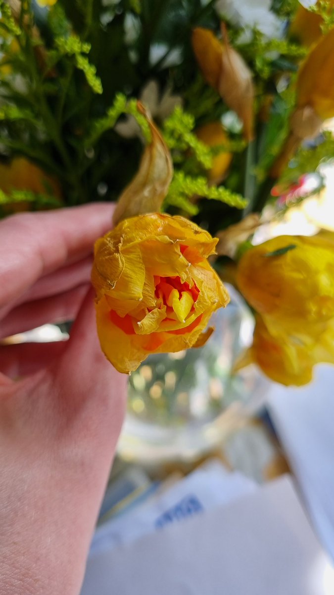 Kimberley Evans-Chudasama tweet media