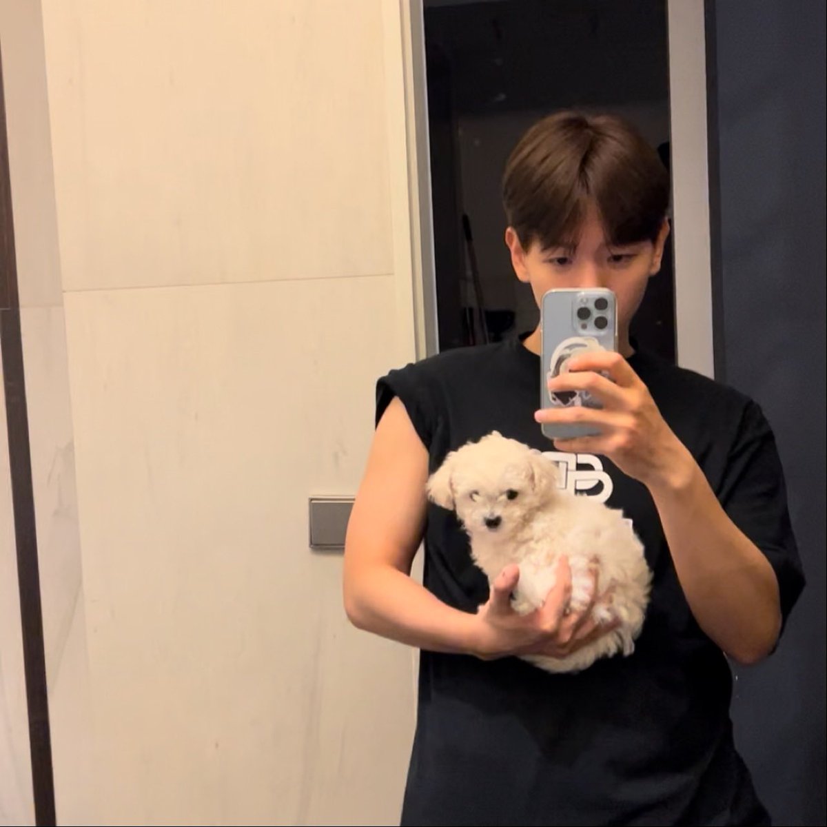 luvB56's tweet photo. 아니 --> 이 강아지가 들고 있는 강아지가 <-- 이 강아지임 https://t.co/Sn8NqcbgBf