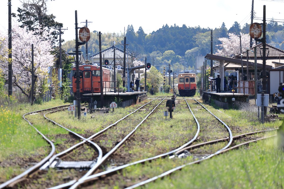 kmatsuPhoto1's tweet photo. 🚃小湊鐵道🚃
左：キハ４０
右：キハ２１３
上総牛久駅にて

#小湊鐵道 #キハ４０ 
#首都圏色 #気動車 #鉄道写真 
https://t.co/HKoQVQRPXe https://t.co/KiWyhe5ueQ