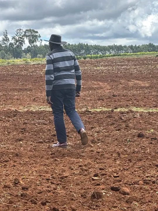 <a href="/ledamalekina/">Sen. Ledama Olekina</a> <a href="/RailaOdinga/">The Raila Odinga Amolo Foundation</a> <a href="/WilliamsRuto/">William Samoei Ruto, PhD</a> President is currently at his farm. Ask your people &amp; supporters to do suit. This is the only way to reduce the cost of living.