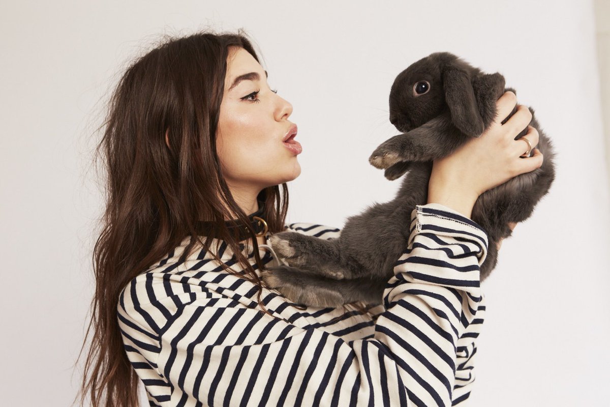 dlipahungary's tweet image. #HappyEaster to those who are celebrating today! 🐣💞