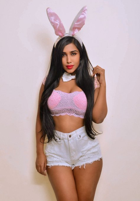 Happy Easter from the Easter Bunny 🐰 #Easter #EasterBunny #Easter2023 #EasterSunday #goa https://t.c<a href="/tag/easter"class="tags">#Easter</a><a href="/tag/easterbunny"class="tags">#EasterBunny</a><a href="/tag/eastersunday"class="tags"><span>#eastersunday</span></a><a href="/tag/goa"class="tags"><span>#goa</span></a><a href="/tag/easter2023"class="tags"><span>#easter2023</span></a>