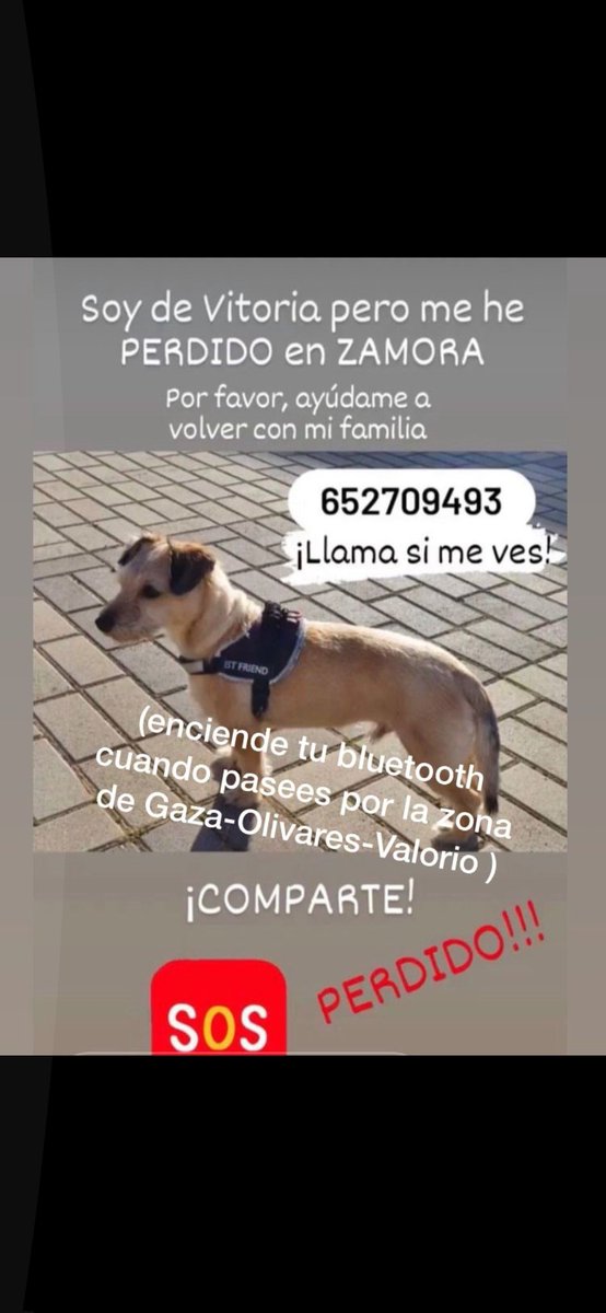 MarkelUriarte7's tweet photo. ZABALDU MESEDEZ📢📢📢

DIFUNDIR POR FAVOR📢📢📢 https://t.co/18Qx3Lxbeg