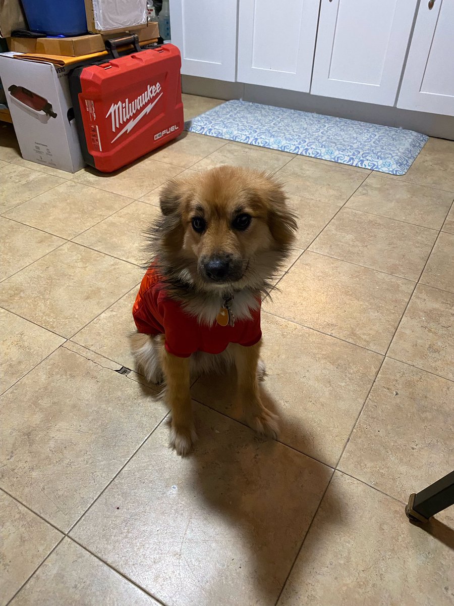 LucyLuro's tweet photo. @BrittanyBabc7 Blessings  Ms, Brittany..Happy Easter ..This is Noché we look forward seeing him on big dog Sunday @Big_R_Entertainment Astoria East Elmhurst… https://t.co/KPi6JlUAh3