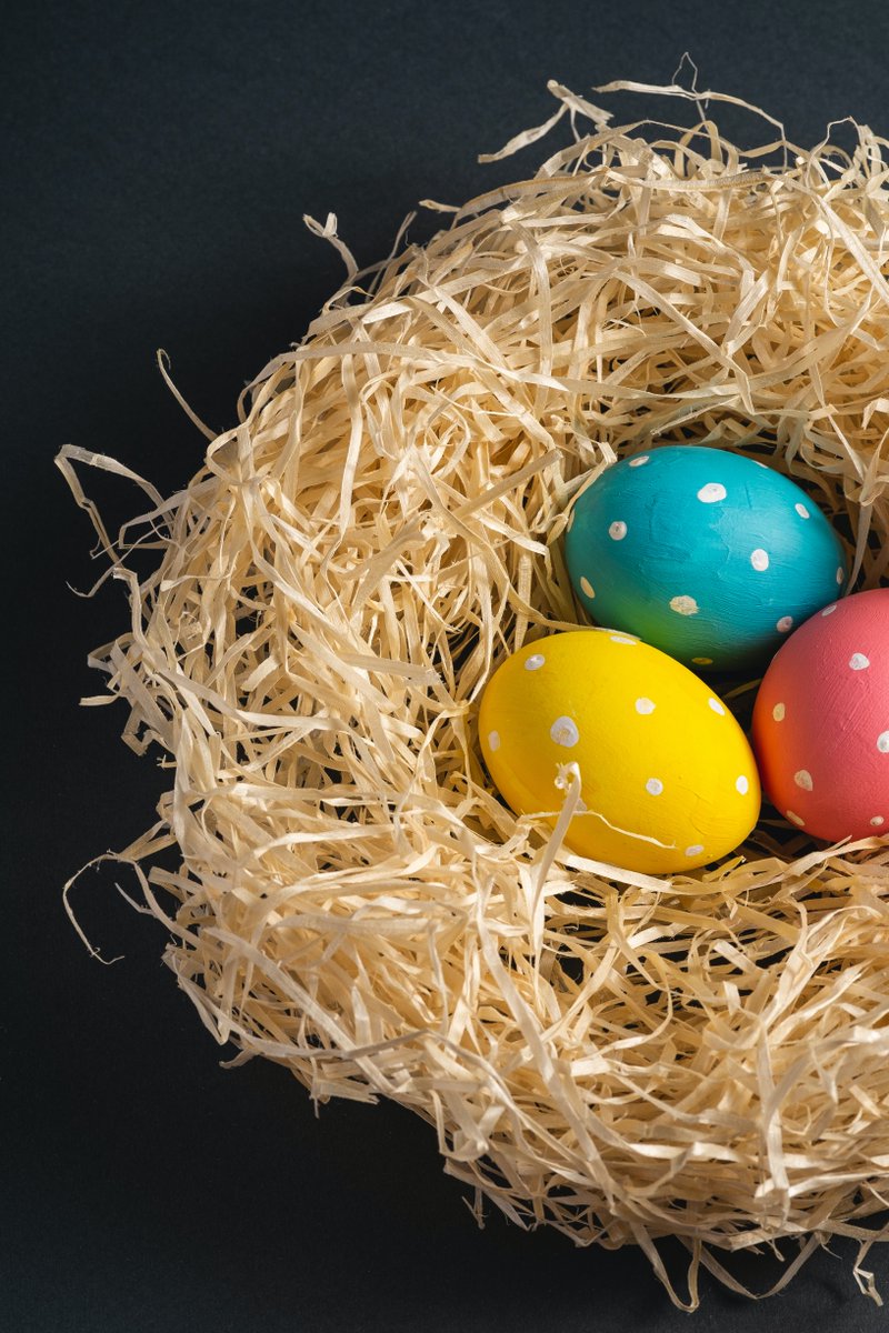 VrtlGraphicsLLC's tweet photo. Happy Easter. Nothing is better Wolof when and where you want it.  Ask us how!

https://t.co/Hph2HlJK9G

#directthermal #colorondemand https://t.co/KgvYO8OxiI