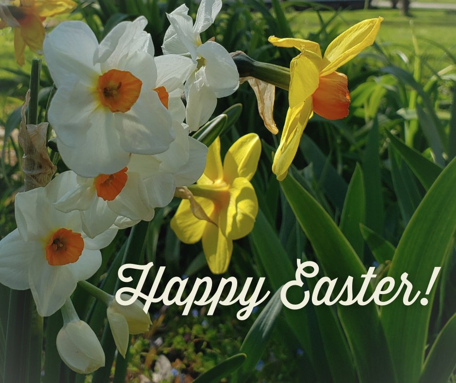 Happy Easter!