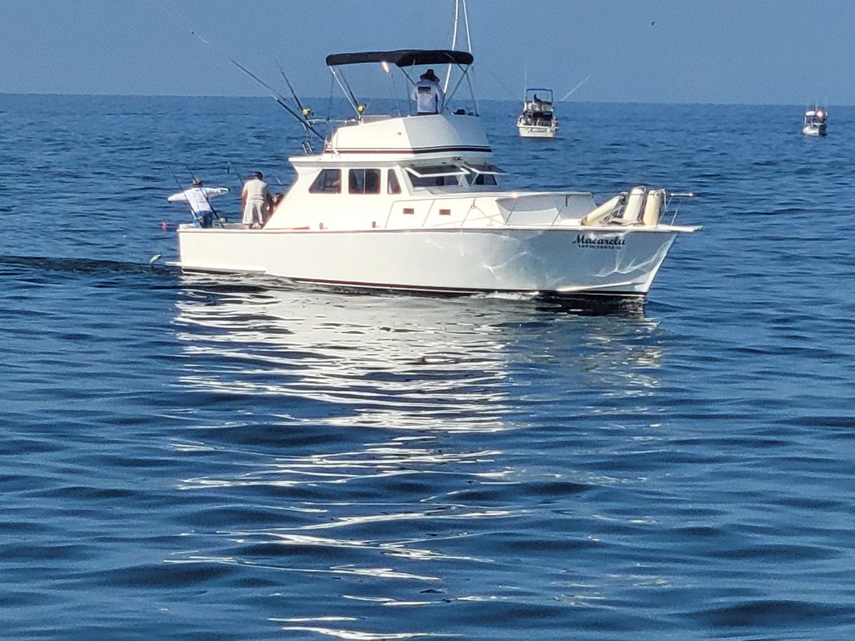 Puerto vallarta fishing report 
hot action in the bay
travelvallarta.com