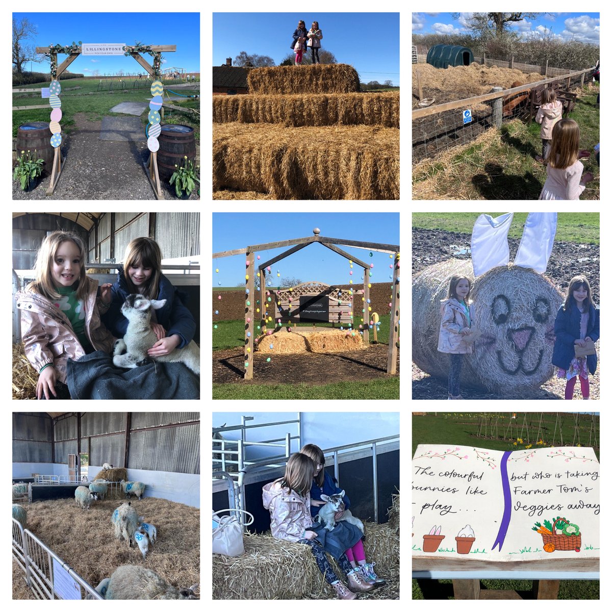 Lillingstone Pick Your Own 

On Friday morning we visited one of our favourite seasonal locations @lillingstonepyo I think our favourite part was the talk by Farmer Tom and getting to cuddle a baby lamb ❤️

We also completed all the activities, including matching the bunnies with