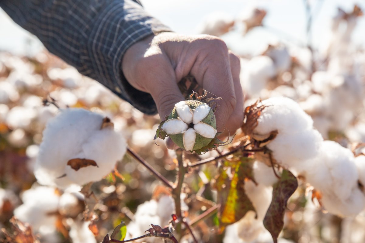 Maria Mast (hier nicht mehr aktiv) tweet media