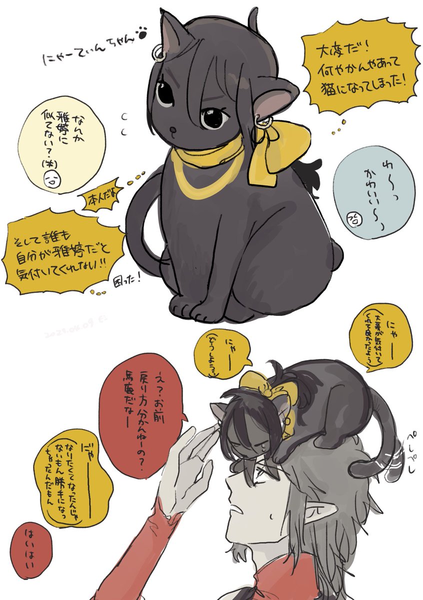 にゃーてぃんちゃん…… 