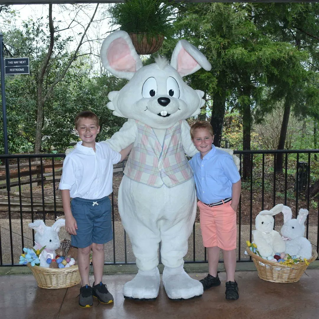 SeeRockCity's tweet photo. Hopping away to his next adventure, today is the last chance to visit with the Easter Bunny this year! Photographs are available in the pavilion until 4 p.m.
Wishing you all a very Happy Easter! #seerockcity #90yearsofrockcity #easterbunny https://t.co/n8QB7x1gLl
