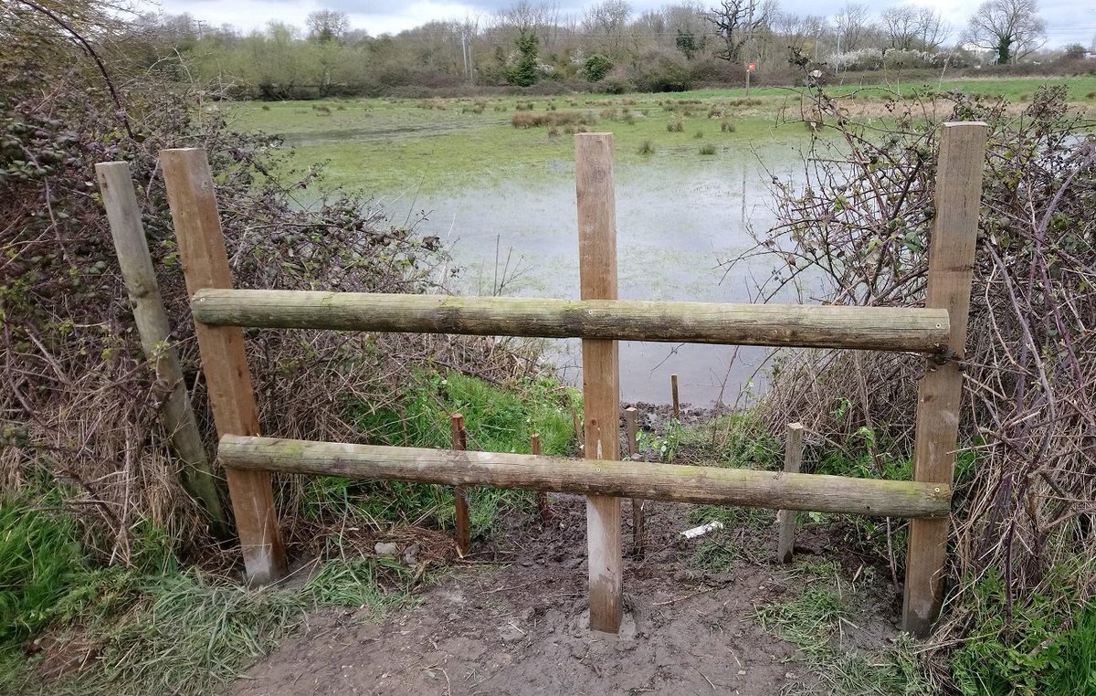 ElyWildspace's tweet photo. Volunteers have plugged the gap in the hedge by erecting a much more sturdy fence. Hopefully this will deter cows, dogs and people from wandering through the flood meadow. Leaving the birds and wildlife in peace. https://t.co/FPubOR8zRs