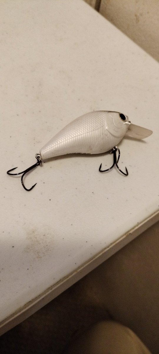 GuywithaGoProFS's tweet image. When you're going through your 2.0 size squarebill box and realize something is missing..#treblemeansthree #nottwo #happyeaster