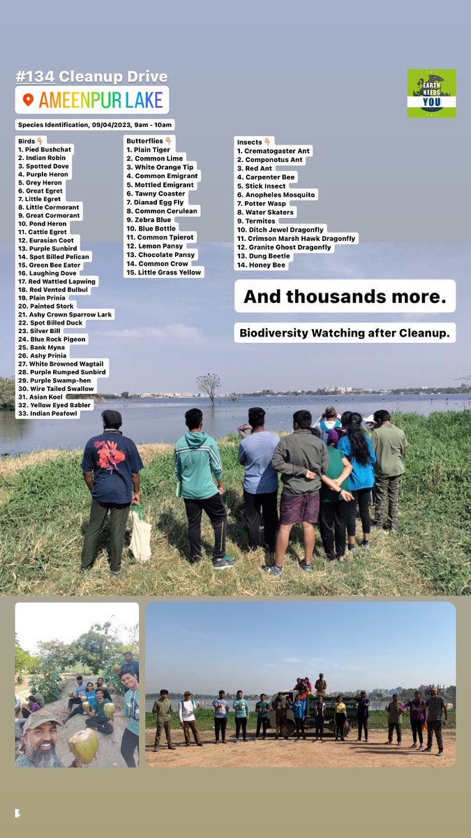 ENYImpacts's tweet photo. Recorded 62 Species in 60mins.

#134 at Ameenpur Lake
#62 at Saddal Cheruvu
#19 at Nallagandla Lake

We all shall be glad to be part of the restoration by @Urbanrisegroup &amp; conserve the biodiversity of our beautiful Ameenpur Lake.

@TSBiodiversity @bsi_moefcc @KTRBRS @AmeenpurM https://t.co/xU1h0wlKZl