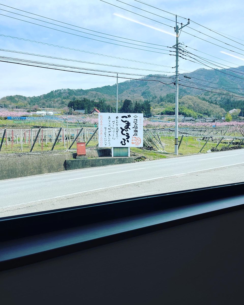 FebYu9's tweet photo. 美味しいものに辿り着くためなら、嫌いな登りも頑張れる。
登りながら文句言ってるけどw
#emomda #ロードバイク https://t.co/b9BDbHulO5