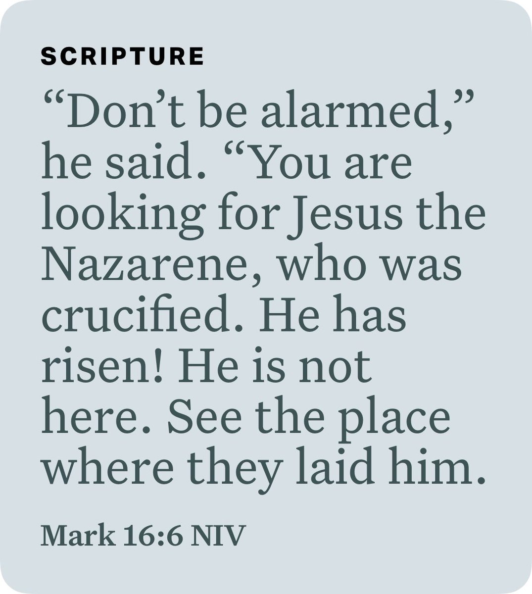 UrAllergyChefs's tweet photo. Mark 16:6 NIV https://t.co/QAA3tTGQwX https://t.co/qePZGiKX6S