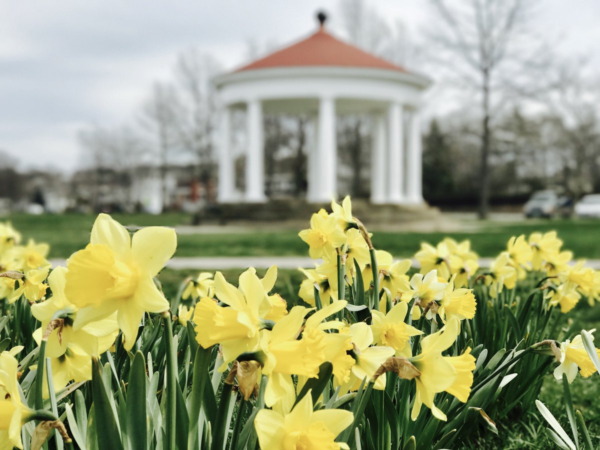 #RhodeIsland #Newport #daffodilDays 

Newport Daffodil Days. April 1, 2023 - April 30, 2023

Photo: King Park