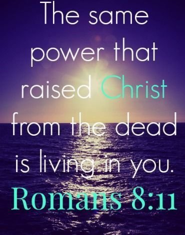 Joyisaware's tweet photo. A revivifying resurrection to All 🙏👑❤️‍🔥

#revivification https://t.co/yPPHZF510s