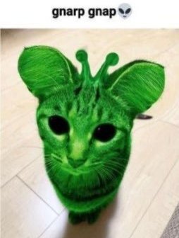 andrastwt12's tweet photo. @BunnyBendiv hi https://t.co/yqd0fL0TB3