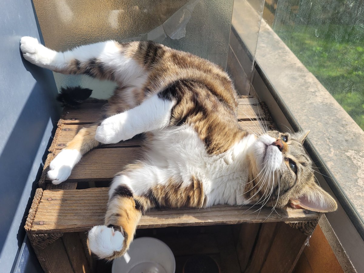 CEDREFINANCE's tweet image. Bon week-end de #Paque 🌞