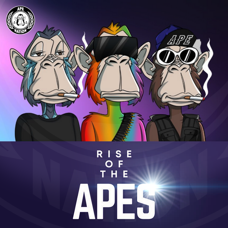 WeAreApeNation | 1% tweet media