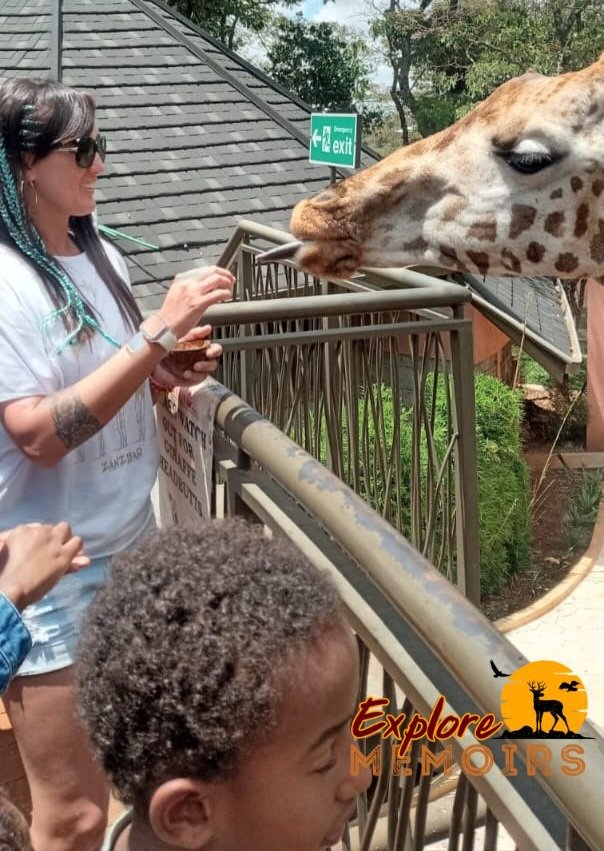 Let's plan your safari.

#big5 #traveldealsonline #explorememoirs #weekendmood #traveldealsworldwide #africansafari #ZuruKenya #giraffe #magicalkenya #daytrip #tourvan #tours #travelhacks #gamedrives