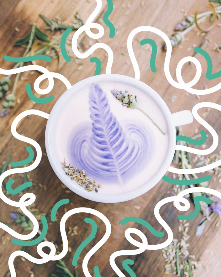 HonestFoodTalks's tweet photo. Sip on something sweet and flowery with our Lavender Milk Tea! 🌸🍵🥛

This popular drink is made of lavender buds, tea, and milk. The tea is usually made with black or green tea🍵However, you can also use other infusions, such as white, herbal or oolong tea. The milk adds a crea https://t.co/wDFW1BmevR