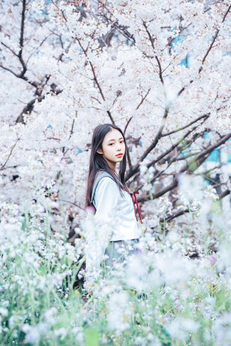 noaのTwitter画像23